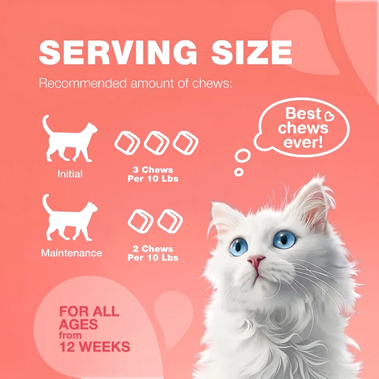 Flea Support Chews for Cats Salmon Flavor Flea and Tick Supplement for Cats Daily Oral Cat Flea and Tick Treatment Chews Soft Treats for All Breeds & Ages