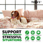 Hemp Calming Chews for Dogs Advanced Dog Calming Chews 170 Treats Anxiety Relief Treats Hemp Oil Separation Aid Stress Hip and Joint Supplement for Canine Health Support Beef Flavor