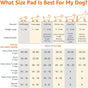 Leak-Proof Dog and Puppy Potty Training Pee Pads with Quick-Dry 5-Layer Super Absorbent Surface for Dog Training, Floor Protection, Regular Size 22X22", Blue & White, 50 Count