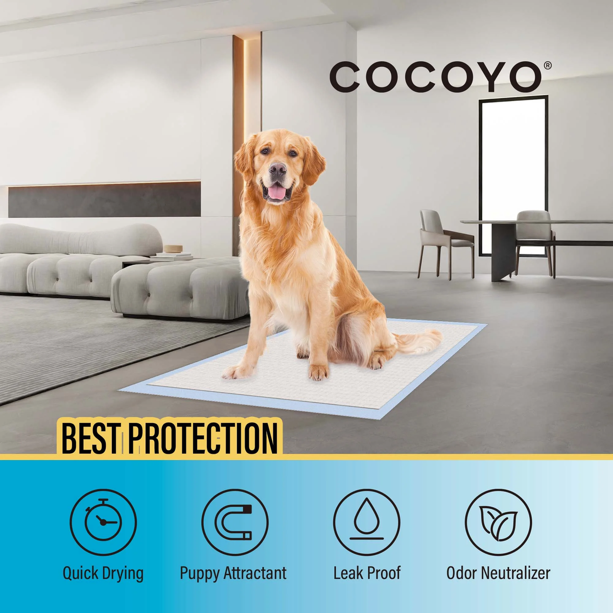 Best Value A37 Training Pads,30"X36", XXL-40 Count,Super Absorbent Puppy Pads,Blue