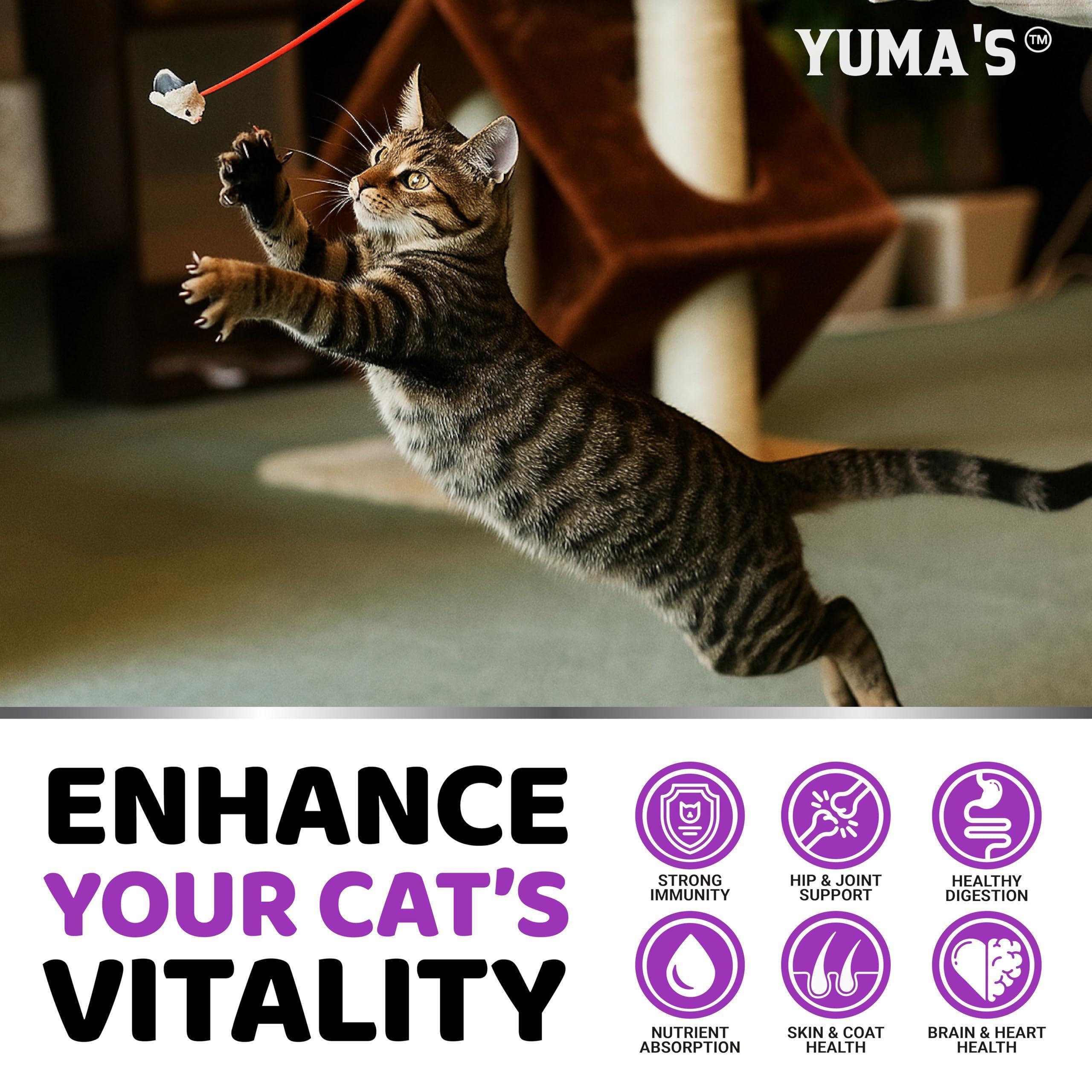 Cats Multivitamin Chewable Hip Joint Support Immune Health Skin Heart Digestion Probiotics