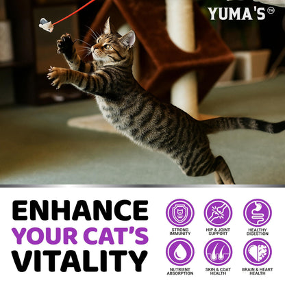 Cats Multivitamin Chewable Hip Joint Support Immune Health Skin Heart Digestion Probiotics