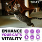 Cats Multivitamin Chewable Hip Joint Support Immune Health Skin Heart Digestion Probiotics