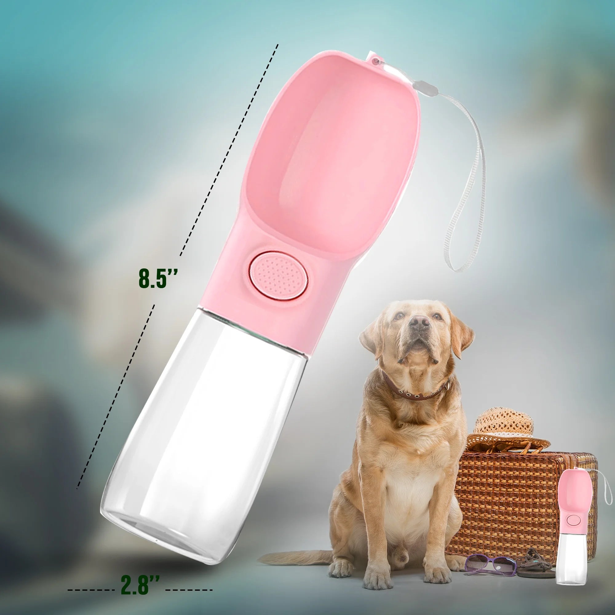 2 Pack Dog Water Bottles, 12Oz Leak Proof Portable Pet Water Dispenser for Outdoor Walking, Hiking, Travel (Blue & Pink)