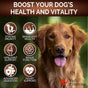 Mushroom for Dogs 170 Chews Turkey Tail Mushroom for Dogs Lions Mane Reishi