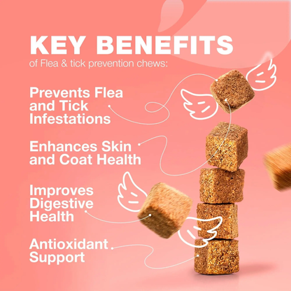 Flea Support Chews for Cats Salmon Flavor Flea and Tick Supplement for Cats Daily Oral Cat Flea and Tick Treatment Chews Soft Treats for All Breeds & Ages