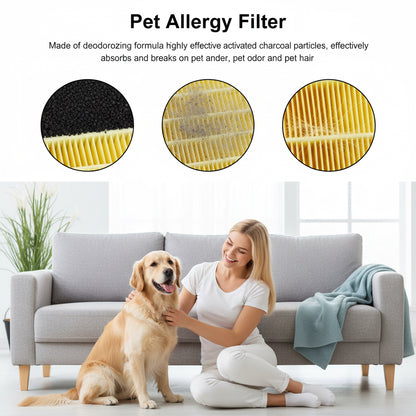 2 Pack 3-In-1 AP100-A Replacement Filters and 8 Extra Packs Aroma Pads